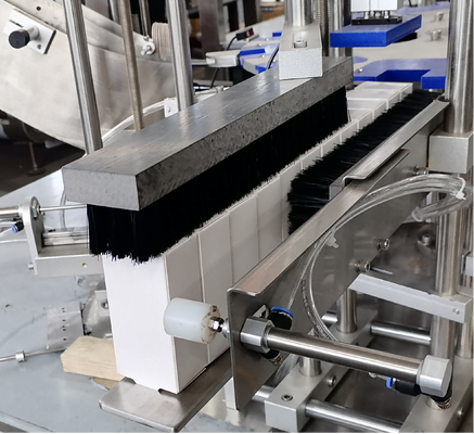 Industrial Rotary Table Vertical Cartoner for Pharmaceutical